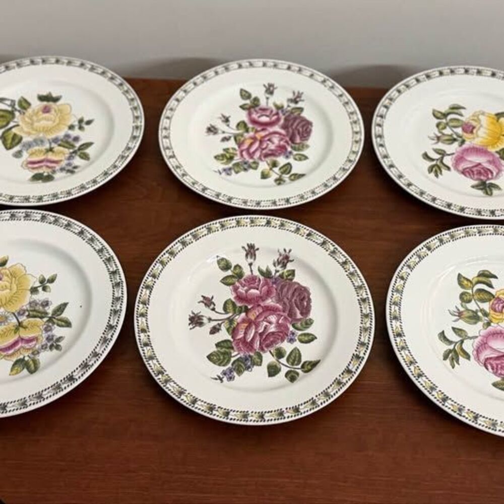 The Bombay Company Botanical Floral Decorative Plates~set of 6